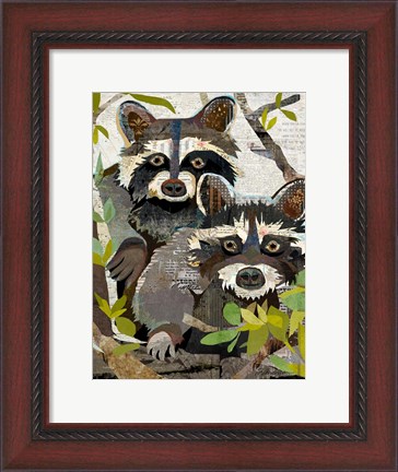 Framed Raccoons Print