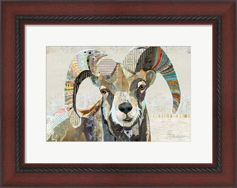 Framed Wild Bighorn Sheep Print