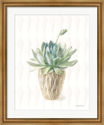 Framed Desert Greenhouse XV Print