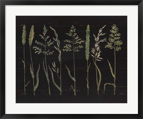 Framed Herbal Botanical VII Black Wood No Words Print