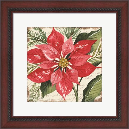 Framed Red Poinsettia Botanical Print