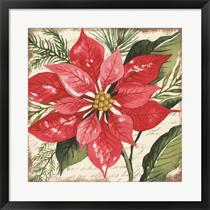 Framed Red Poinsettia Botanical Print