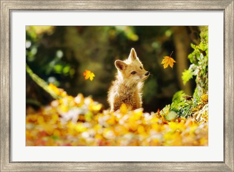 Framed Falling Leaves Fox Print