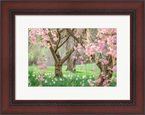 Framed Springtime Fairytale Cherry Tree Print