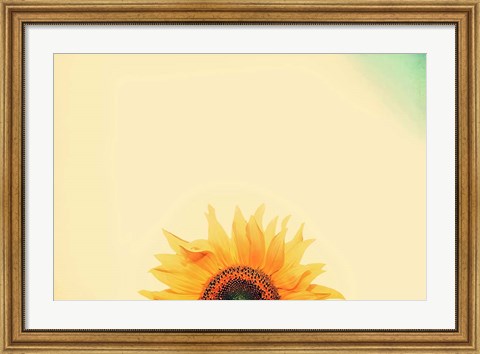 Framed Sunflower Sunrise Print