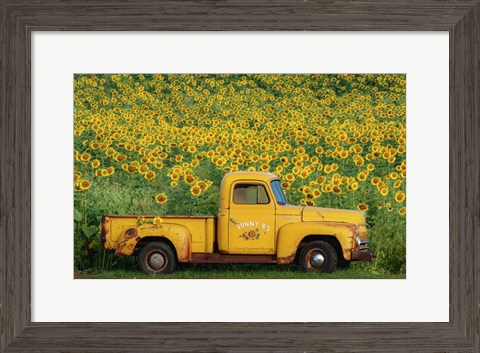 Framed Yellow Vintage Sunflower Truck Print