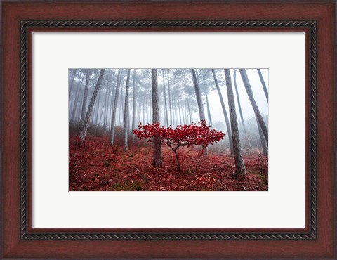 Framed Misty Autumn Print