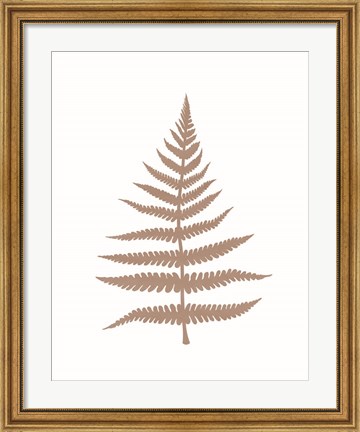 Framed Fern 1 Print