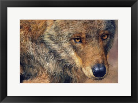 Framed Wolf Portrait Print