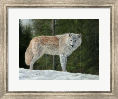 Framed Grey Wolf In Snow Print