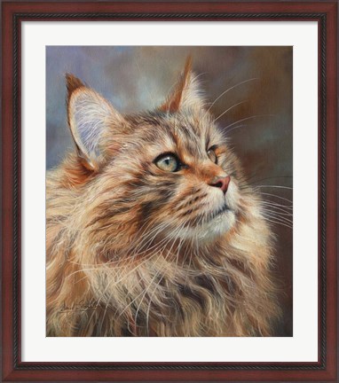 Framed Maincoon Cat Print