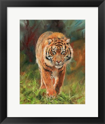 Framed Amur Tiger 2 Print