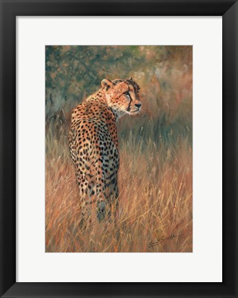 Framed Cheetah In Field Print