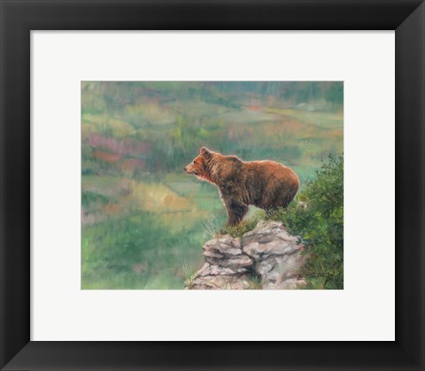 Framed European Brown Bear Print