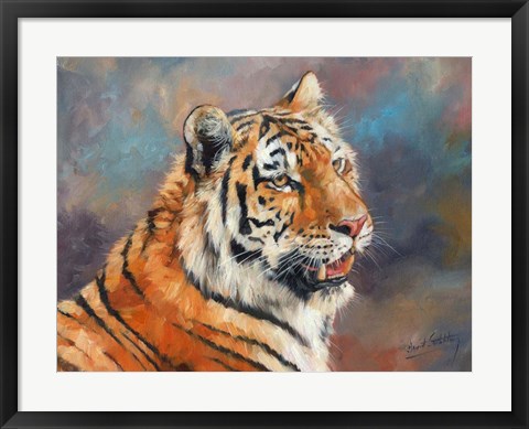 Framed Tiger On Crushed Colors Print