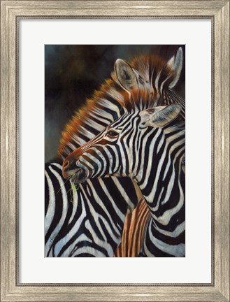 Framed Zebras Print