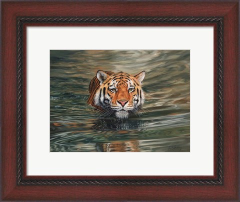Framed Tiger Water Swimming Print