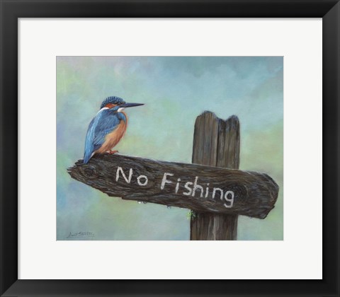 Framed Kingfisher No Fishing Print