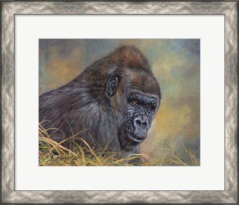 Framed Gorilla Print