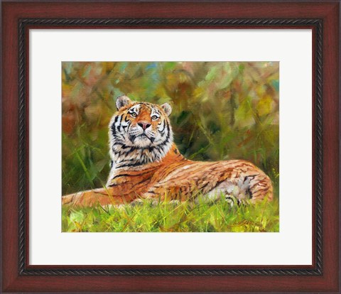 Framed Tiger Study 12 Print