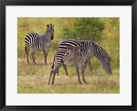 Framed Zebras South Luangwa Print