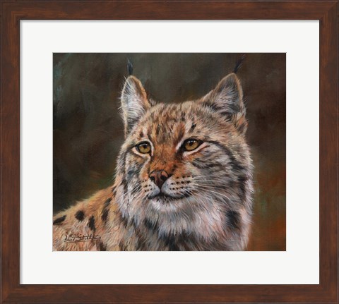 Framed Eurasian Lynx Print