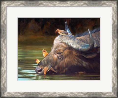 Framed Buffalo And Oxpeckers Print