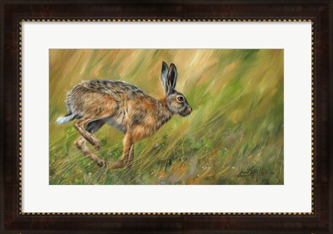 Framed Wild Hare Running Print