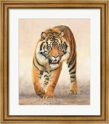 Framed Tiger16 Print