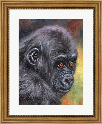 Framed Baby Gorilla86 Print