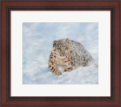 Framed Snow Leopard Final Print