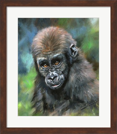 Framed Baby Mountain Gorilla Print