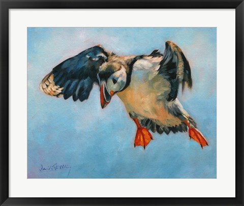Framed Puffin Print