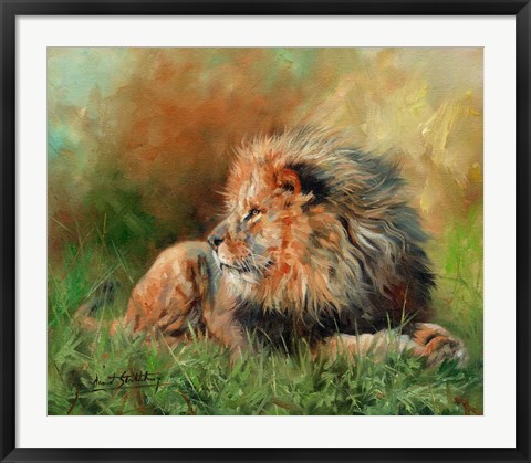 Framed Lion Full Of Grace Print