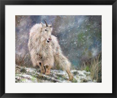 Framed Wild Mountain Goat Print