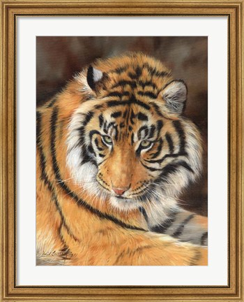 Framed Tiger 10 Print