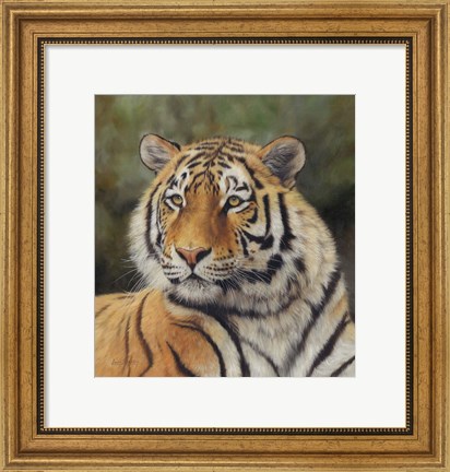 Framed Tiger Portrait 6 Print
