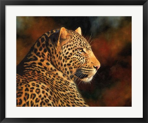 Framed Leopard Looking Right Print