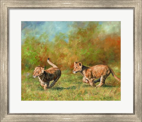 Framed Lion Cubs Running Print