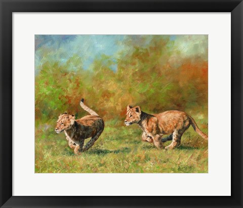 Framed Lion Cubs Running Print