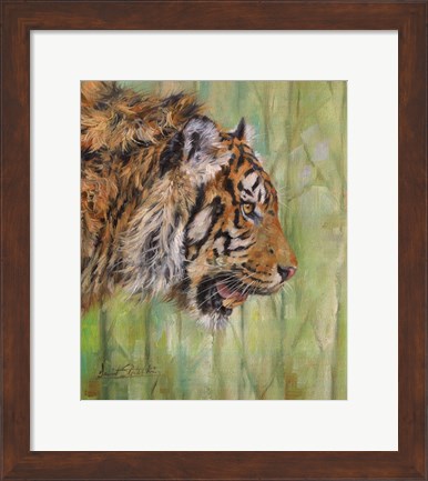 Framed Amur Tiger Profile Print