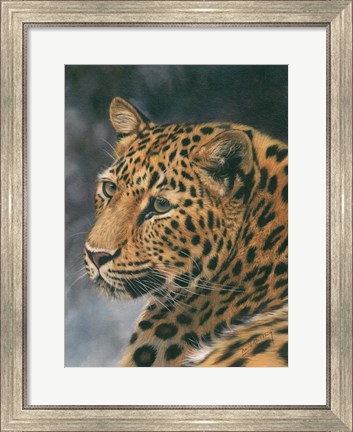 Framed Leopard Portrait 2 Print