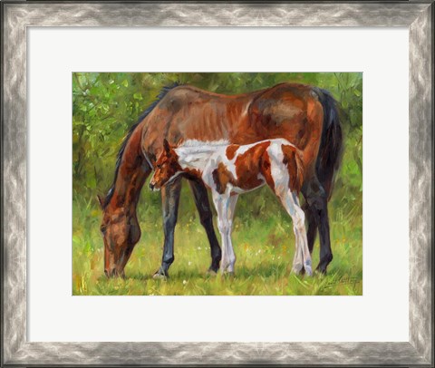 Framed Horse And Foal Grazing Print