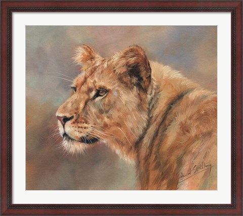 Framed Lioness Portrait Print