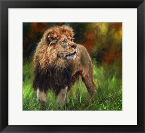 Framed Lion Full Length Print