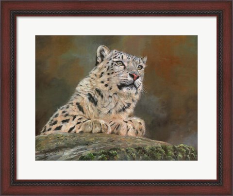 Framed Snow Leopard Rock Print
