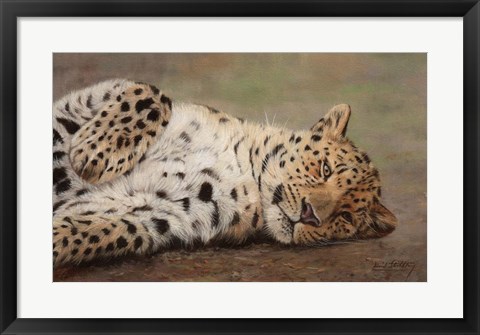 Framed Resting Leopard Print
