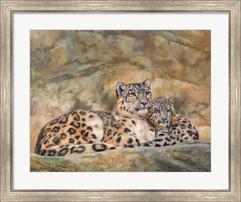 Framed Snow Leopards Circles Print