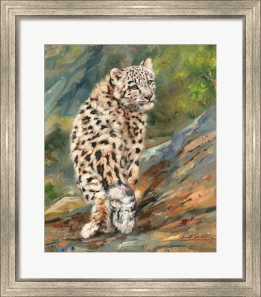 Framed Snow Leopard Cub Print