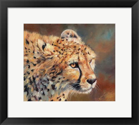 Framed Cheetah Stare Print